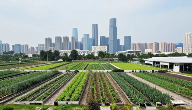 企业管理咨询中市场调研的两个实际环节解析
