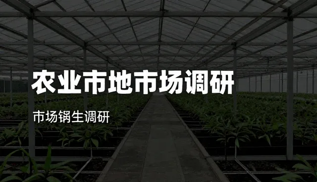 市场调研中的品牌咨询应用场景分析