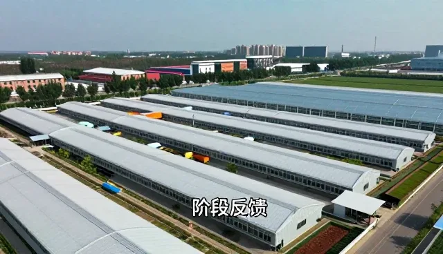 品牌咨询项目执行中的核心关注点与趋势洞察